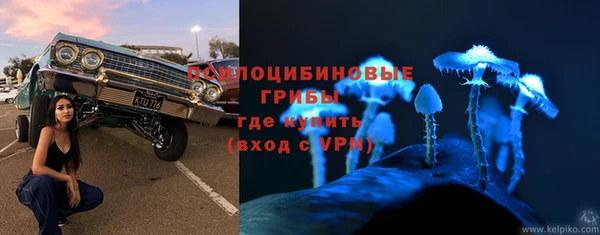 винт Ижевск