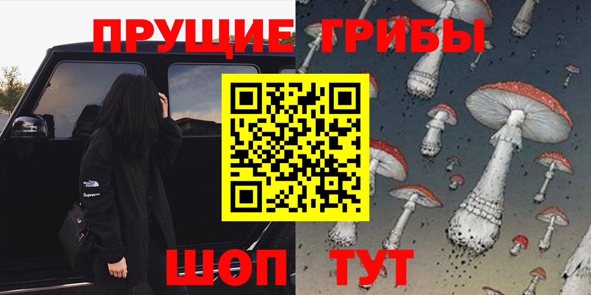 Галлюциногенные грибы Psilocybine cubensis  где купить наркоту  Вход с VPN  Троицк  Псилоцибиновые грибы прущие грибы 