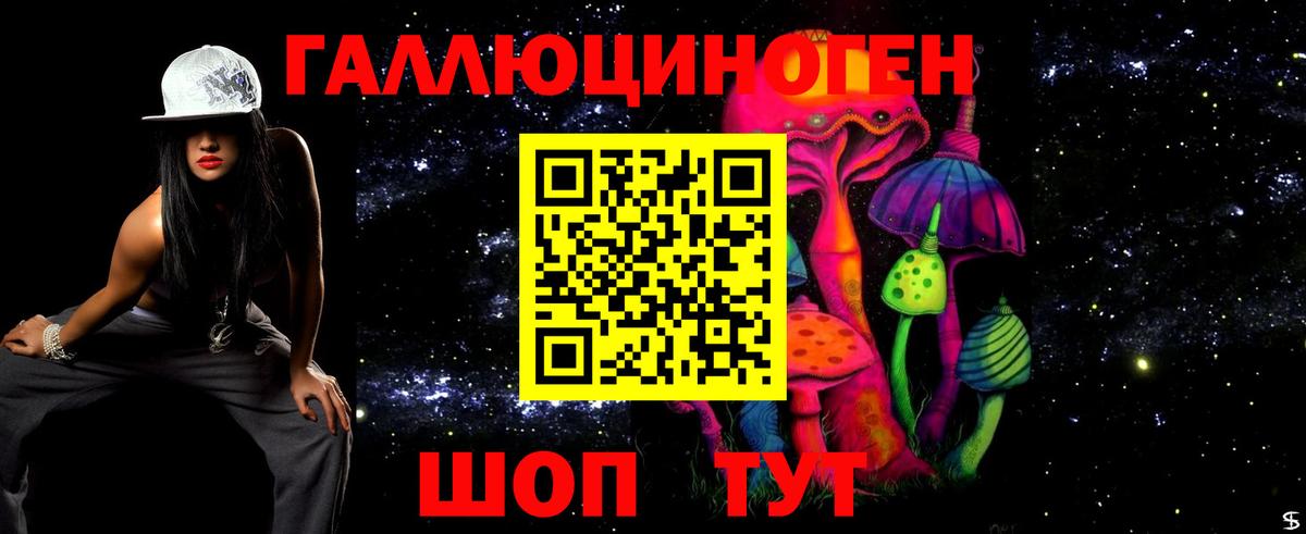 Псилоцибиновые грибы Psilocybe Троицк
